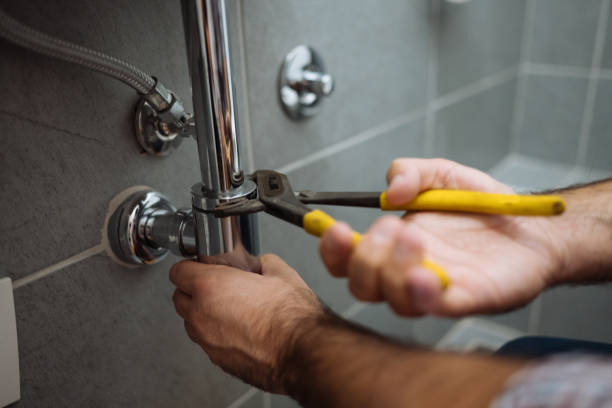 Best Commercial Plumbing Services  in Hebbronville, TX